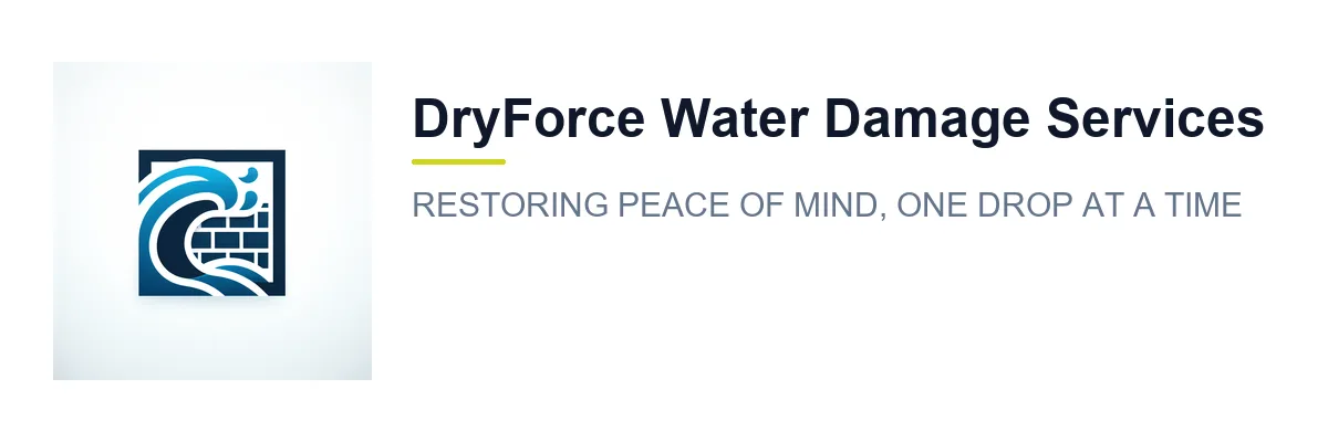 DryForce Water Damage Services